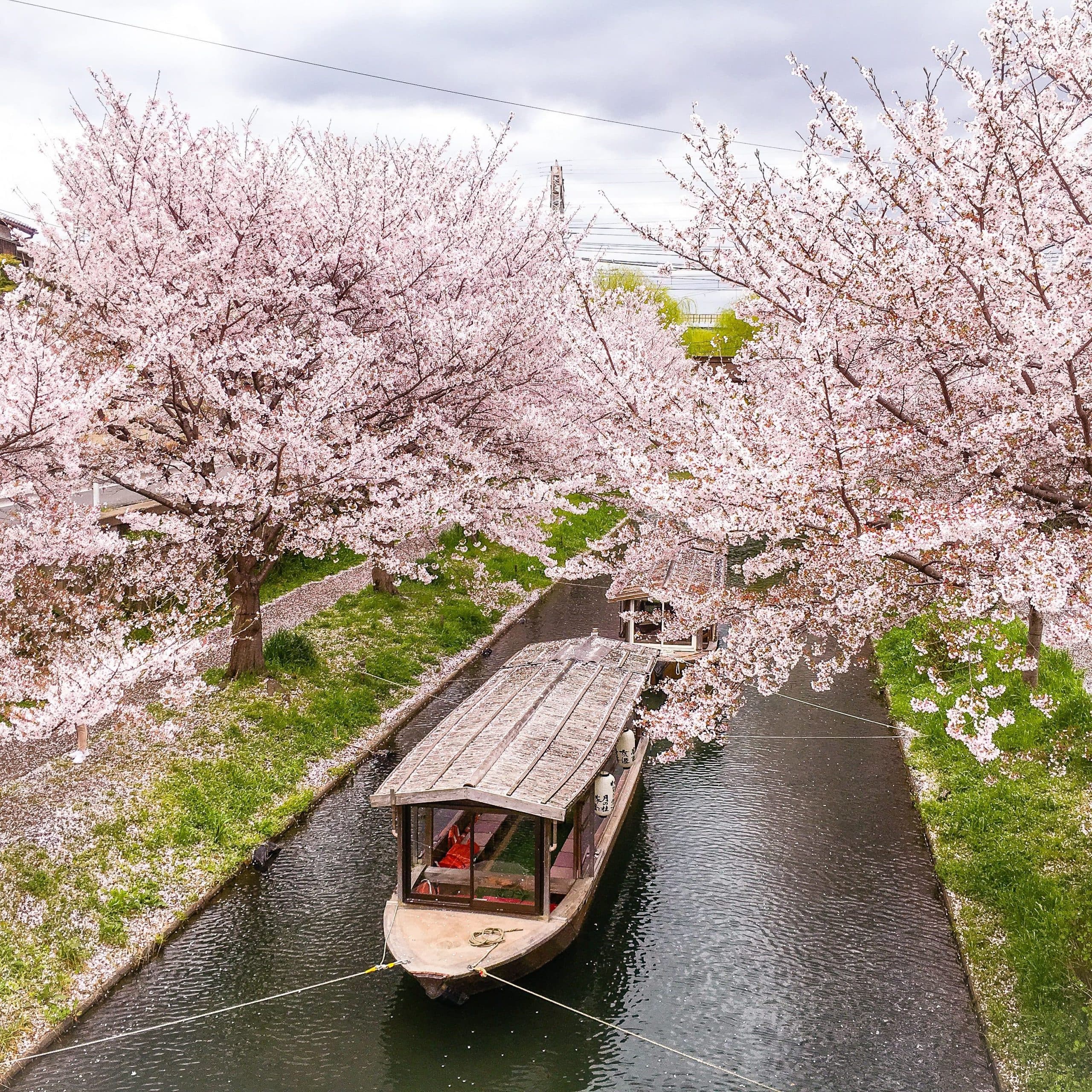 Fushimi Sake with Ayuko Yamaguchi