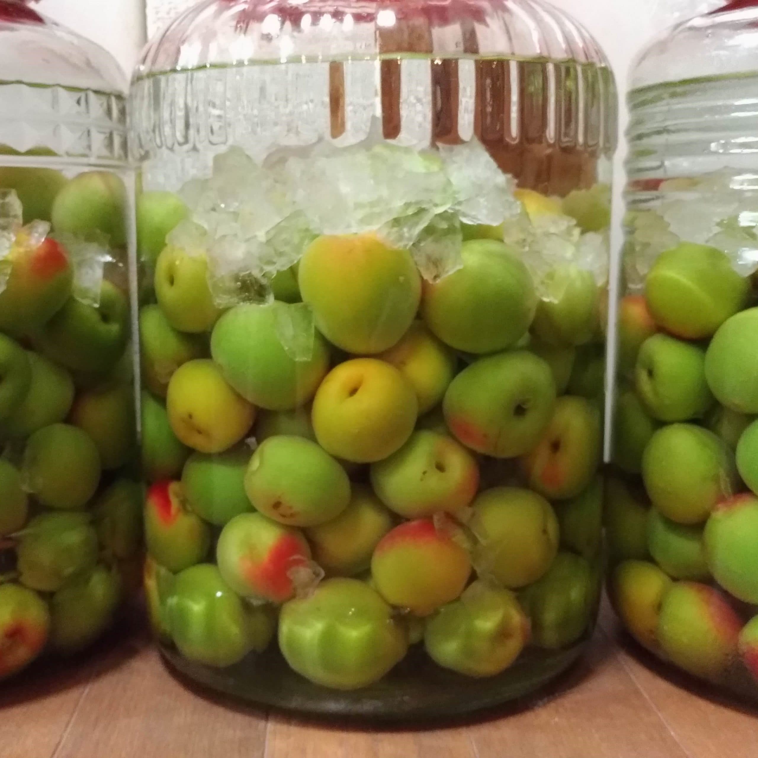 Understanding Umeshu with Todd Van Horne