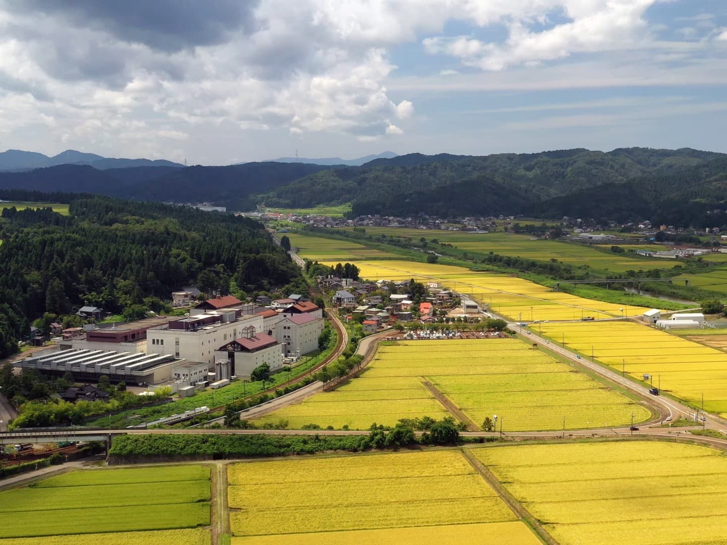 Examining Niigata Sake